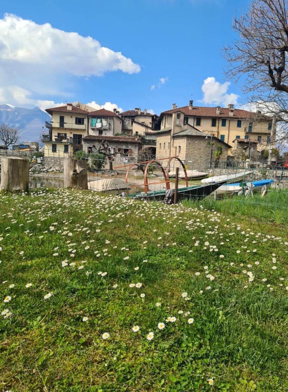 Laura'S Cottage With Lake View, Detached, 5 Kilometers From Varenna Lierna Εξωτερικό φωτογραφία